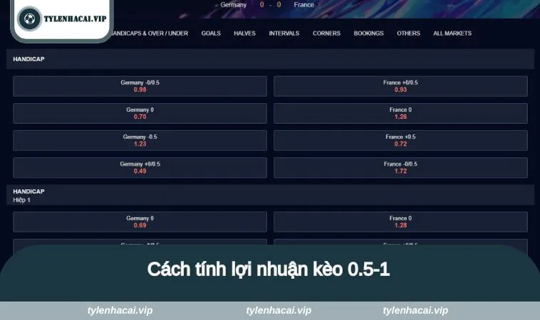 keo 0 5 1 3 Cách tính lợi nhuận kèo 0.5-1